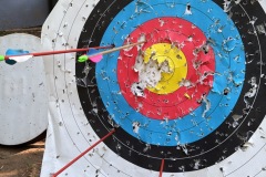 D5B39BD8-5AD4-41AF-9B48-34446233AE51