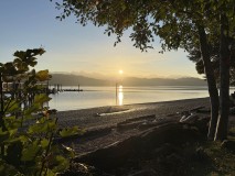 IMG_7987