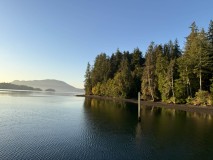 IMG_7994